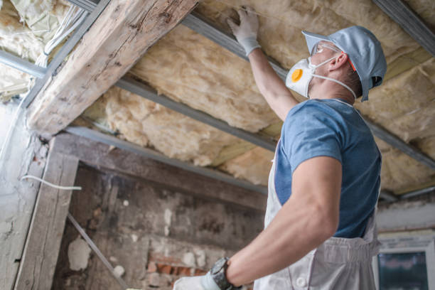 Best Cellulose Insulation in Palo, IA