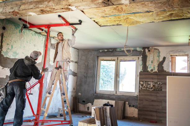 Types of Insulation We Offer in Palo, IA