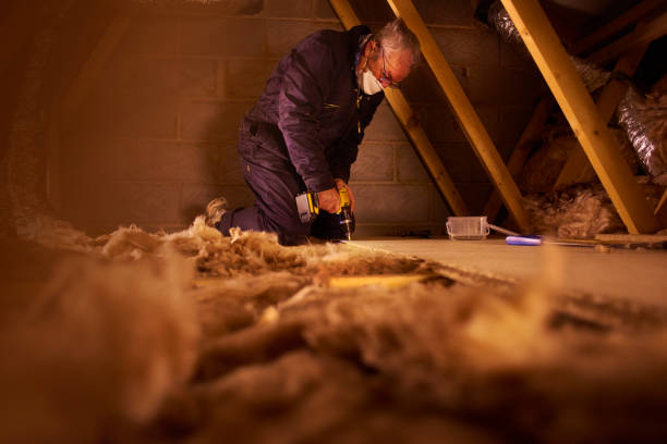 Best Blown-in Insulation in Palo, IA